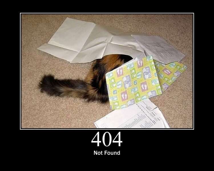 :cat404: